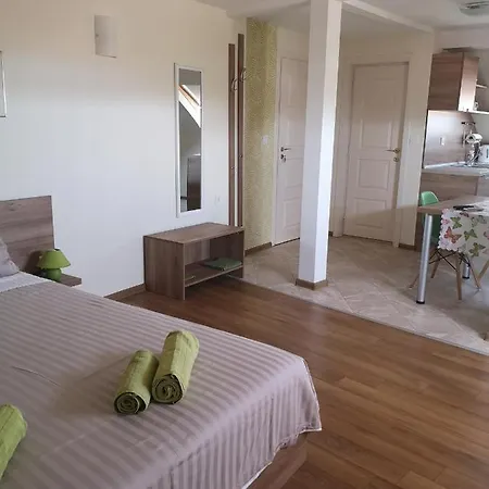 свила Pensjonat 4*