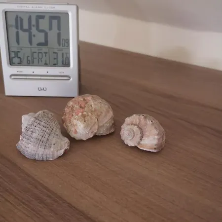 свила 3* סוזופול