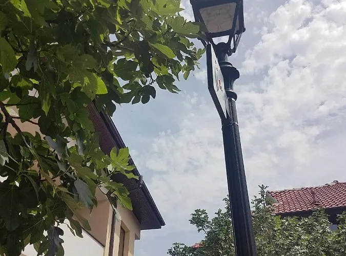 свила Гостевой дом