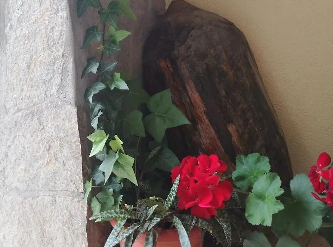 Гостевой дом свила