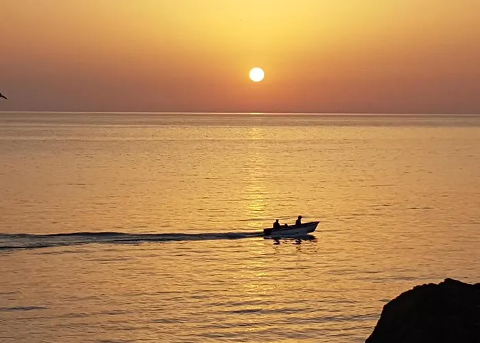 свила Созополь